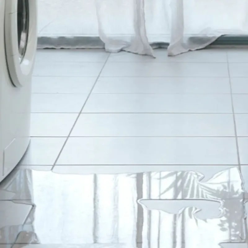 Appliance Leak Cleanup in Clinton, MO