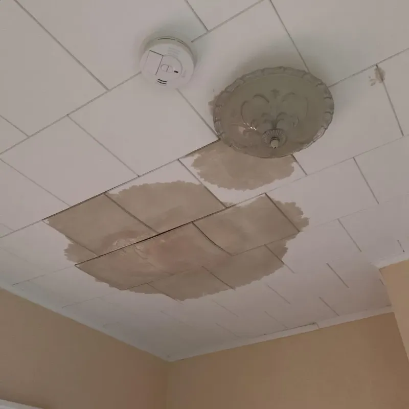 Ceiling Water Damage Repair in Clinton, MO